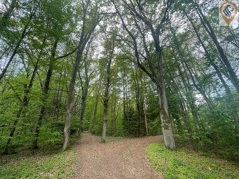At the very end of the quiet village of Postupice, in a picturesque landscape where