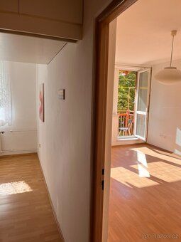 Rent apartment 1BR of 42m² with balcony on the second floor in Karvina