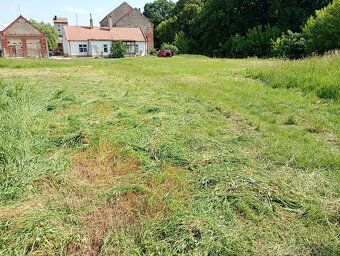Pronájem zahrady v Drnholec (PŘÍPADNĚ PRODEJ).Výměra cca 200