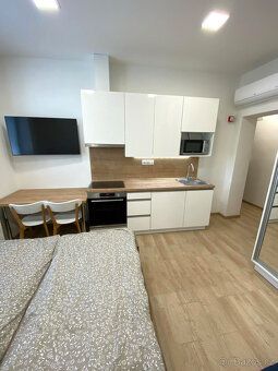 Nabízíme k pronájmu byt 1+kk (č. 5) o ploše 30 m² v nově zre