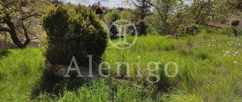 Sale of family house with usable area 275m2 in Prague 6