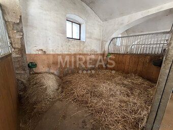 Strenice, horse stable rental, district of Mlada Boleslav. Rent