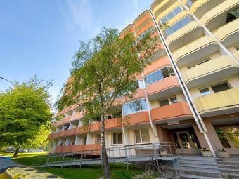 Looking for starter housing or an interesting investment opportunity where you have literally…