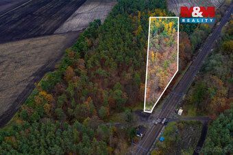 Nabízíme k prodeji 3/4 lesního pozemku o rozloze 6 436 m² v 