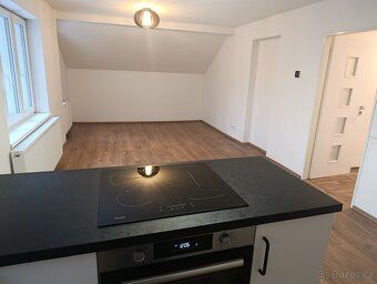 For sale attic apartment 3+kk with balcony - Horní Police, 11 km