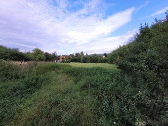 Sale of garden in Lipník nad Bečvou I offer a garden on the outskirts