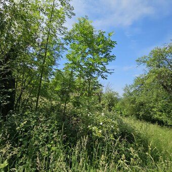 We offer for sale an exceptional plot located on a parcel