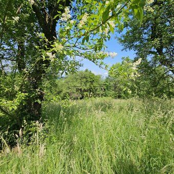 We offer for sale an exceptional plot located on a parcel