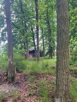 We offer for sale a wooden cottage of built-up area 37 m², located in a quiet part of…