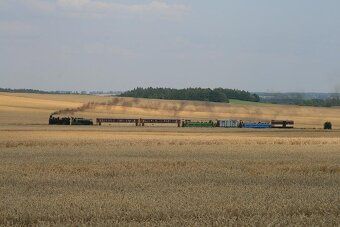 Sell two plots of land, cadastral number 314/3 with an area of 1506 m2 and adjacent plot No.