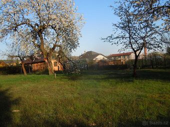 Prodej stavebního pozemku v Červeném Kostelci,Stolíně o rozl