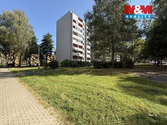 **Pronájem útulného bytu 1+1 v Karviné ** Nabízíme k pronájm