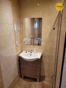 K pronájmu nabízíme byt 2+1 v menším bytovém domě se čtyřmi 