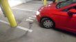 Good day, I offer parking in new garage spaces on U Pivovaru Street.