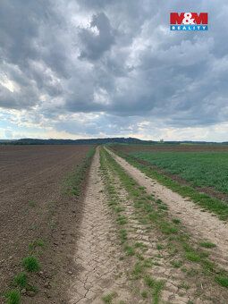 Prodej pole o výměře 9 520 m² v k.ú. Voděrady u Kunštátu, si