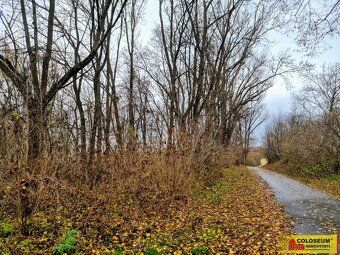 Exclusively we offer for sale land with great potential that will soon become construction…
