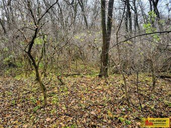 Exclusively we offer for sale land with great potential that will soon become construction…