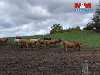 We offer for sale a field of 3,913 m² in cadastral area Jabloňany, Blansko