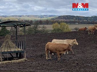 We offer for sale a field of 3,913 m² in cadastral area Jabloňany, Blansko
