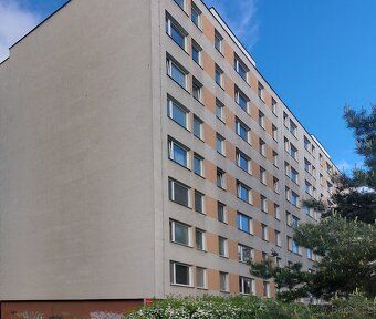 Nabízím k dlouhodobému podnájmu byt 1+kk o velikosti 30m2, k
