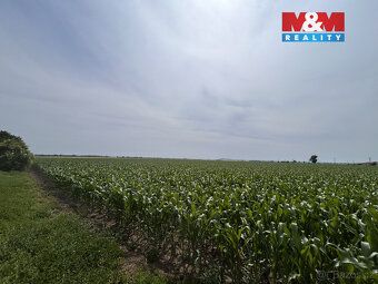 Exkluzivně nabízíme POZEMEK, KTERÝ NENÍ PROPACHTOVANÝ A JE V