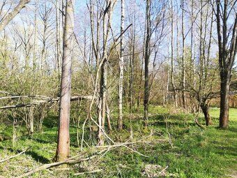 Ділянка біля ставу на краю села Хартунків (Бенешов над