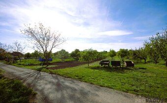 We offer for sale a family house intended for demolition in the wine region