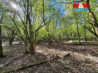 We offer for sale a set of plots with total area of 5857 m² in