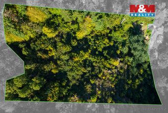 We offer for sale a very interesting, atypical forest plot.