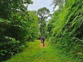 Sell 4 construction plots in Costa Rica Private farm with waterfall.