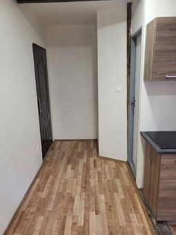 Pronajmu světlý prosluněný byt 1+kk, 30 m2, po úplné rekonst