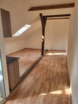 Pronajmu světlý prosluněný byt 1+kk, 30 m2, po úplné rekonst