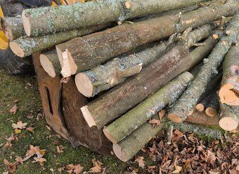 Sell 'full log' approx according to photo of hardwood by Tvrdy - quality