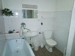 We offer for sale a large family house with a shop - shops in the ground floor, located in the…