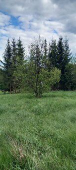 Sell land plot of total area 2551 m2 in village Jamartice near Bruntál