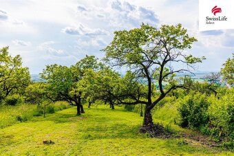 Looking for a place where you can relax away from city noise, surrounded by nature, sun and the scent of ripe fruit?
