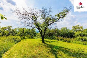 Looking for a place where you can relax away from city noise, surrounded by nature, sun and the scent of ripe fruit?