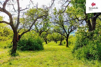 Looking for a place where you can relax away from city noise, surrounded by nature, sun and the scent of ripe fruit?