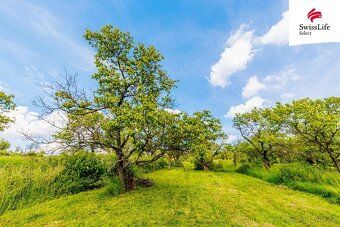 Looking for a place where you can relax away from city noise, surrounded by nature, sun and the scent of ripe fruit?