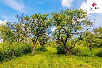 Looking for a place where you can relax away from city noise, surrounded by nature, sun and the scent of ripe fruit?