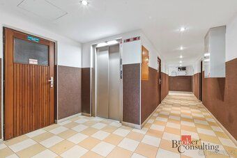 Pronájem, byty/1+kk, 28 m2, Nad lesním divadlem 1115/14, Bra