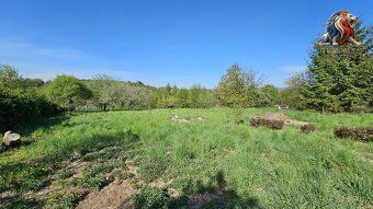 Rental of nice newly renovated apartment with parking space and garden in Sebranice near Boskovice.