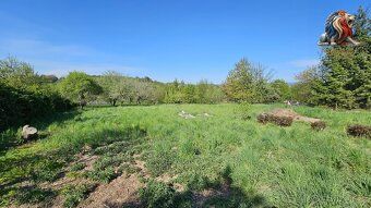 Rental of nice newly renovated apartment with parking space and garden in Sebranice near Boskovice.