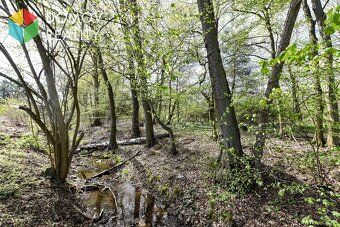 Our company offers for sale a building plot of size