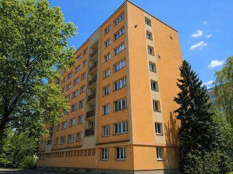 We offer for rent an apartment 1+kk (20 sqm) on Krakovská street in a quiet part of Hrabůvka.