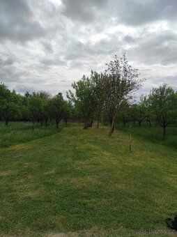 Nabízíme k prodeji lukrativní udržovaný pozemek, zahradu s o