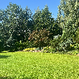 Without agency fee!!! We sell a very nice plot in an amazing romantic location on the edge of…