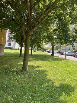 We offer you exclusively for purchase a bright apartment of layout 1+1