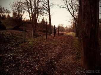Sell very interesting plots directly adjacent to the Radbů River