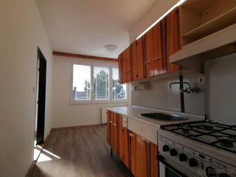 Nabízím k pronájmu slunný byt 1+1 45m2 v klidném domě v Česk